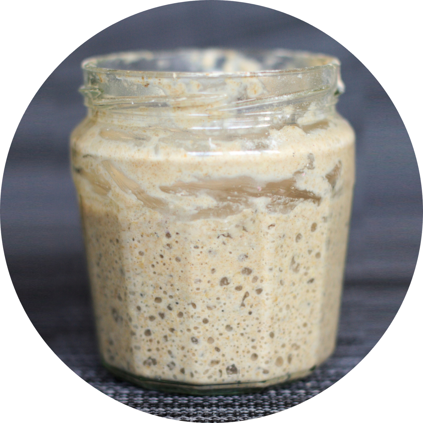 Gutsy Sourdough Starter